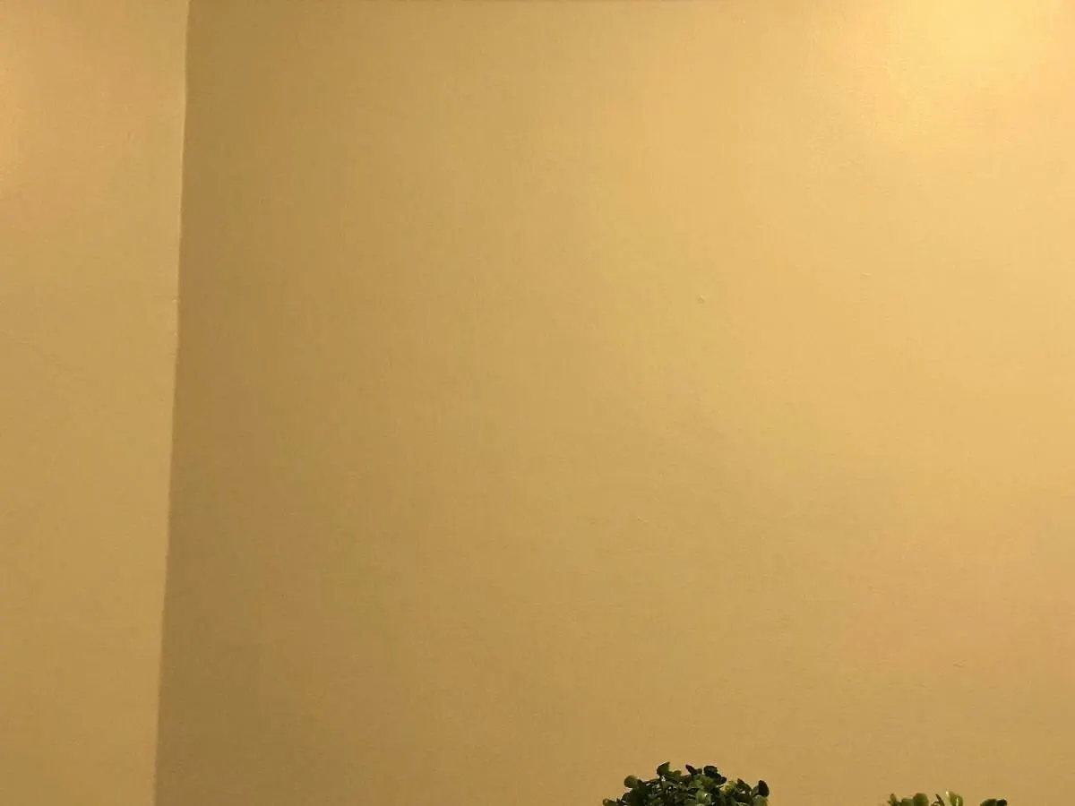 Apartamento Central 2 Quartos Balneário Camboriú 0*,  巴西